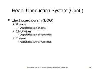 Heart: Conduction System (Cont.) 
 Electrocardiogram (ECG) 
•Copyright © 2014, 2011, 2006 by Saunders, an imprint of Elsevier, Inc. •98 
 P wave 
• Depolarization of atria 
 QRS wave 
• Depolarization of ventricles 
 T wave 
• Repolarization of ventricles 
 