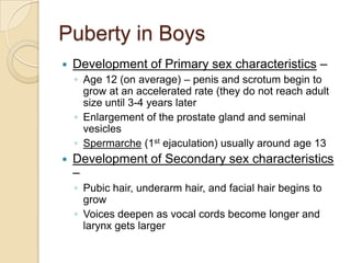 Puberty in BoysDevelopment of Primary sex characteristics – Age 12 (on average) – penis and scrotum begin to grow at an accelerated rate (they do not reach adult size until 3-4 years laterEnlargement of the prostate gland and seminal vesiclesSpermarche (1st ejaculation) usually around age 13Development of Secondary sex characteristics – Pubic hair, underarm hair, and facial hair begins to growVoices deepen as vocal cords become longer and larynx gets larger