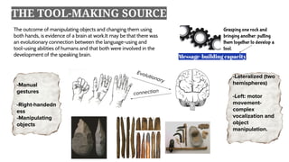 Chapters 1 & 2 11 | PDF