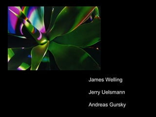 James Welling

Jerry Uelsmann

Andreas Gursky
 