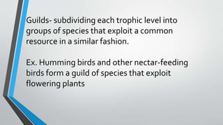 Guilds- subdividing each trophic level into
groups of species that exploit a common
resource in a similar fashion.
Ex. Humming birds and other nectar-feeding
birds form a guild of species that exploit
flowering plants
 