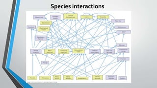 Species interactions
 