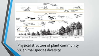 Physical structure of plant community
vs. animal species diversity
 