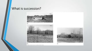 What is succession?
 
