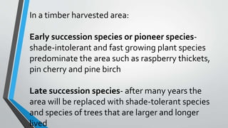 In a timber harvested area:
Early succession species or pioneer species-
shade-intolerant and fast growing plant species
predominate the area such as raspberry thickets,
pin cherry and pine birch
Late succession species- after many years the
area will be replaced with shade-tolerant species
and species of trees that are larger and longer
lived
 