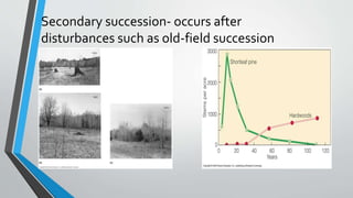 Secondary succession- occurs after
disturbances such as old-field succession
 
