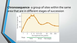 Chronosequence- a group of sites within the same
area that are in different stages of succession
 