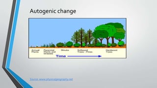 Autogenic change
Source: www.physicalgeography.net
 