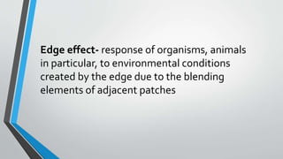 Edge effect- response of organisms, animals
in particular, to environmental conditions
created by the edge due to the blending
elements of adjacent patches
 