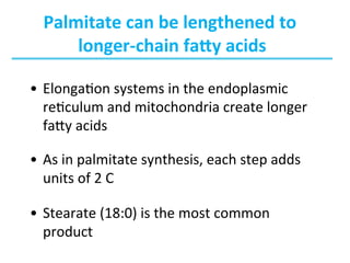 Chapters 17,21 Fatty acid catabolism , Lipid biosynthesis | PDF