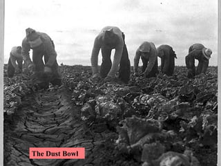 The Dust Bowl 