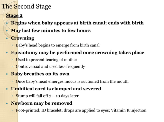 Chapters 2 And 3 Life Span Development Ppt Chapters 2 And 3 Life Span Development Ppt