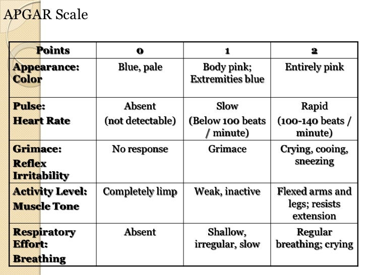 Chapters 2 and 3 life span development