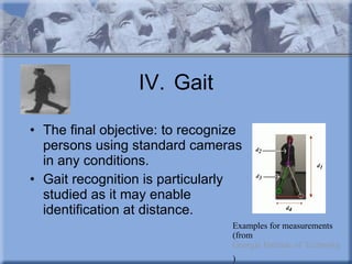IV. Gait The final objective: to recognize persons using standard cameras in any conditions.  Gait recognition is particularly studied as it may enable identification at distance.  Examples for measurements  (from  Georgia Institute of Technology )   