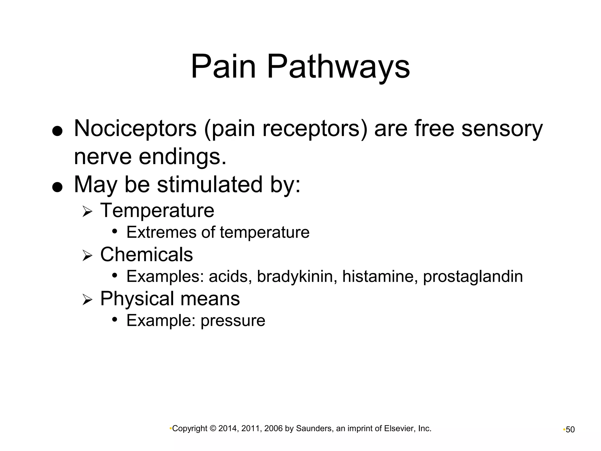 Pain Pathways 
 Nociceptors (pain receptors) are free sensory 
nerve endings. 
 May be stimulated by: 
 Temperature 
• Extremes of temperature 
 Chemicals 
• Examples: acids, bradykinin, histamine, prostaglandin 
 Physical means 
• Example: pressure 
•Copyright © 2014, 2011, 2006 by Saunders, an imprint of Elsevier, Inc. •50 
 