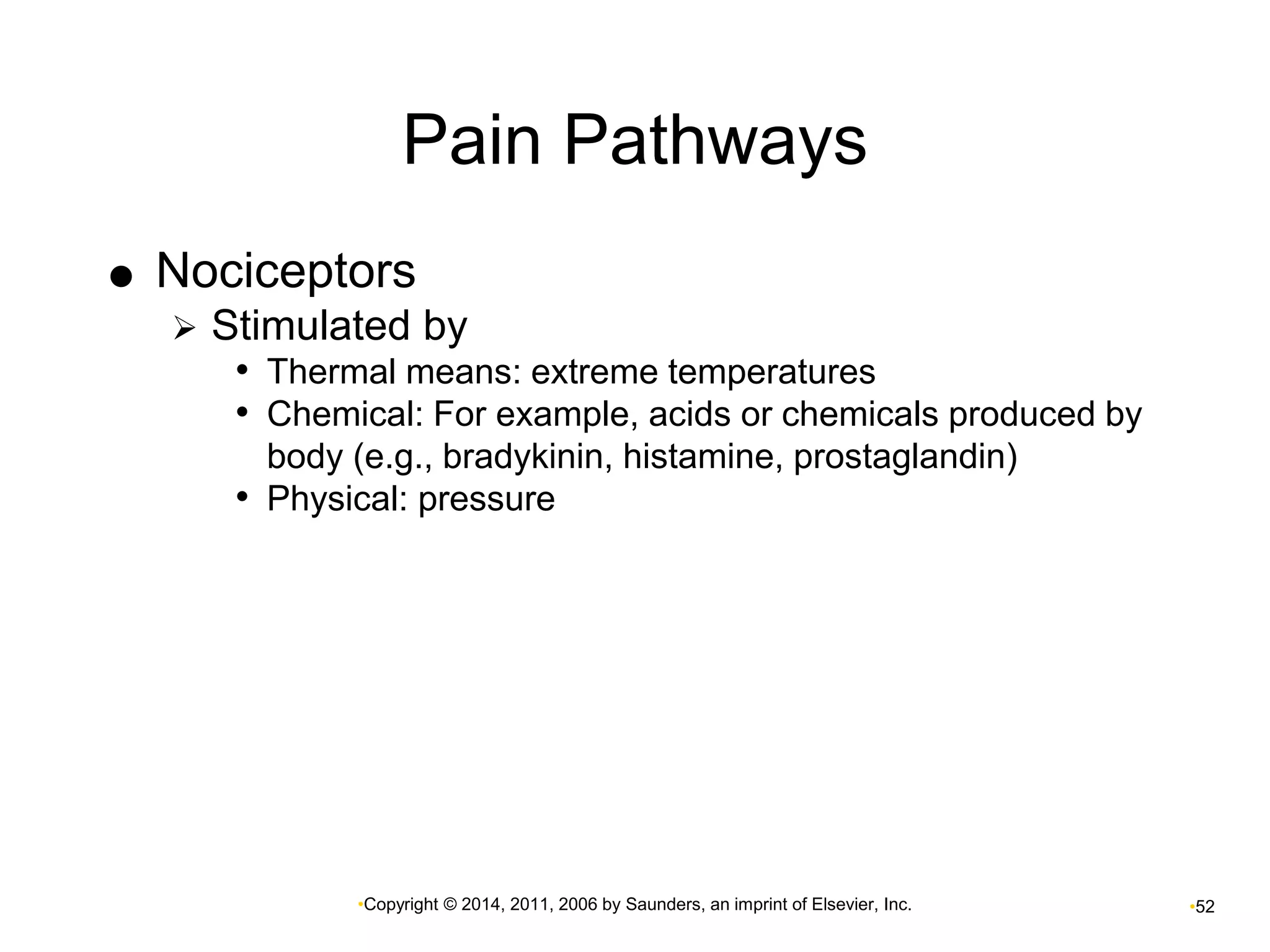 Pain Pathways 
 Nociceptors 
 Stimulated by 
• Thermal means: extreme temperatures 
• Chemical: For example, acids or chemicals produced by 
body (e.g., bradykinin, histamine, prostaglandin) 
• Physical: pressure 
•Copyright © 2014, 2011, 2006 by Saunders, an imprint of Elsevier, Inc. •52 
 