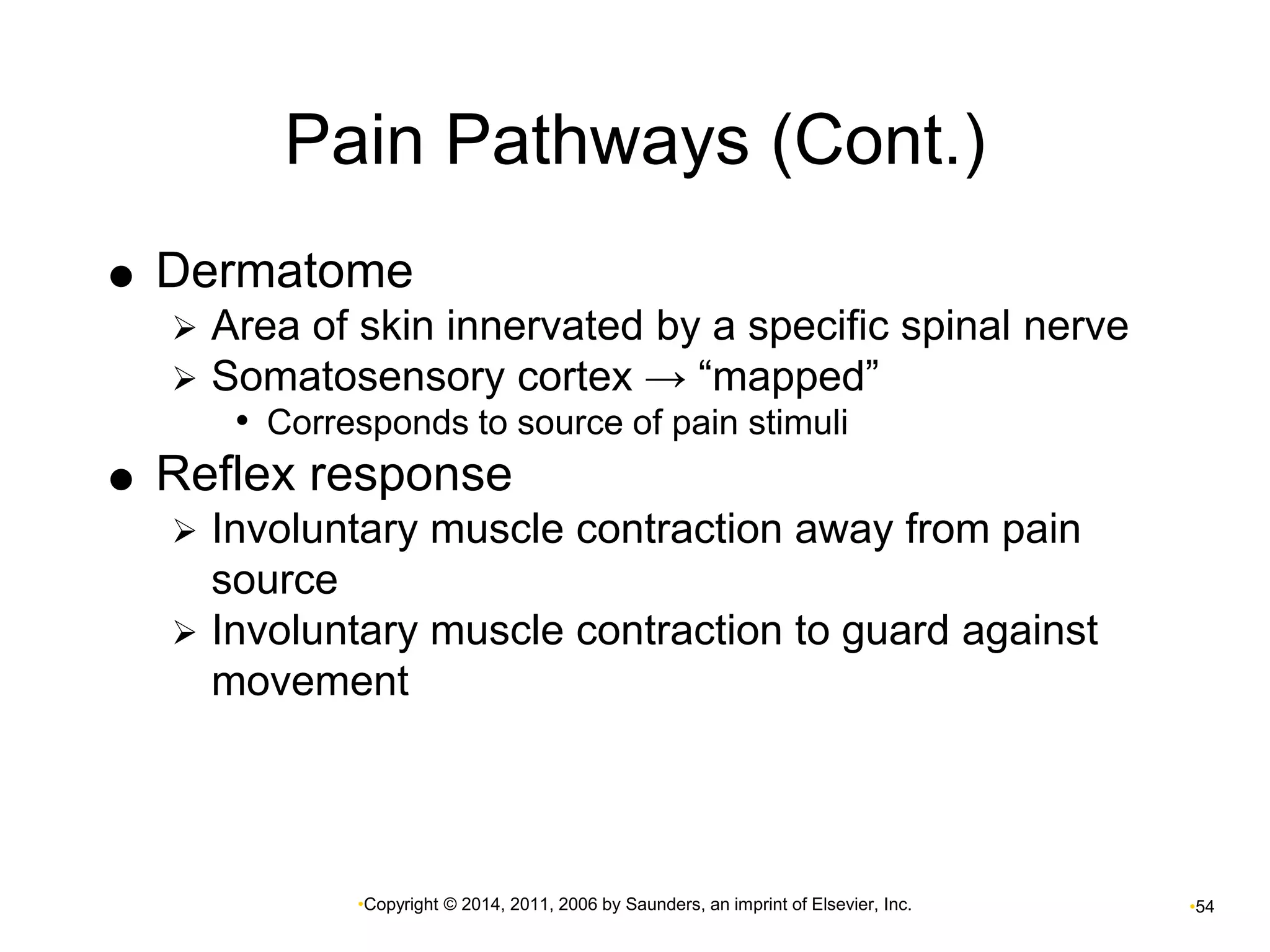 Pain Pathways (Cont.) 
 Dermatome 
 Area of skin innervated by a specific spinal nerve 
 Somatosensory cortex → “mapped” 
• Corresponds to source of pain stimuli 
 Reflex response 
 Involuntary muscle contraction away from pain 
•Copyright © 2014, 2011, 2006 by Saunders, an imprint of Elsevier, Inc. •54 
source 
 Involuntary muscle contraction to guard against 
movement 
 