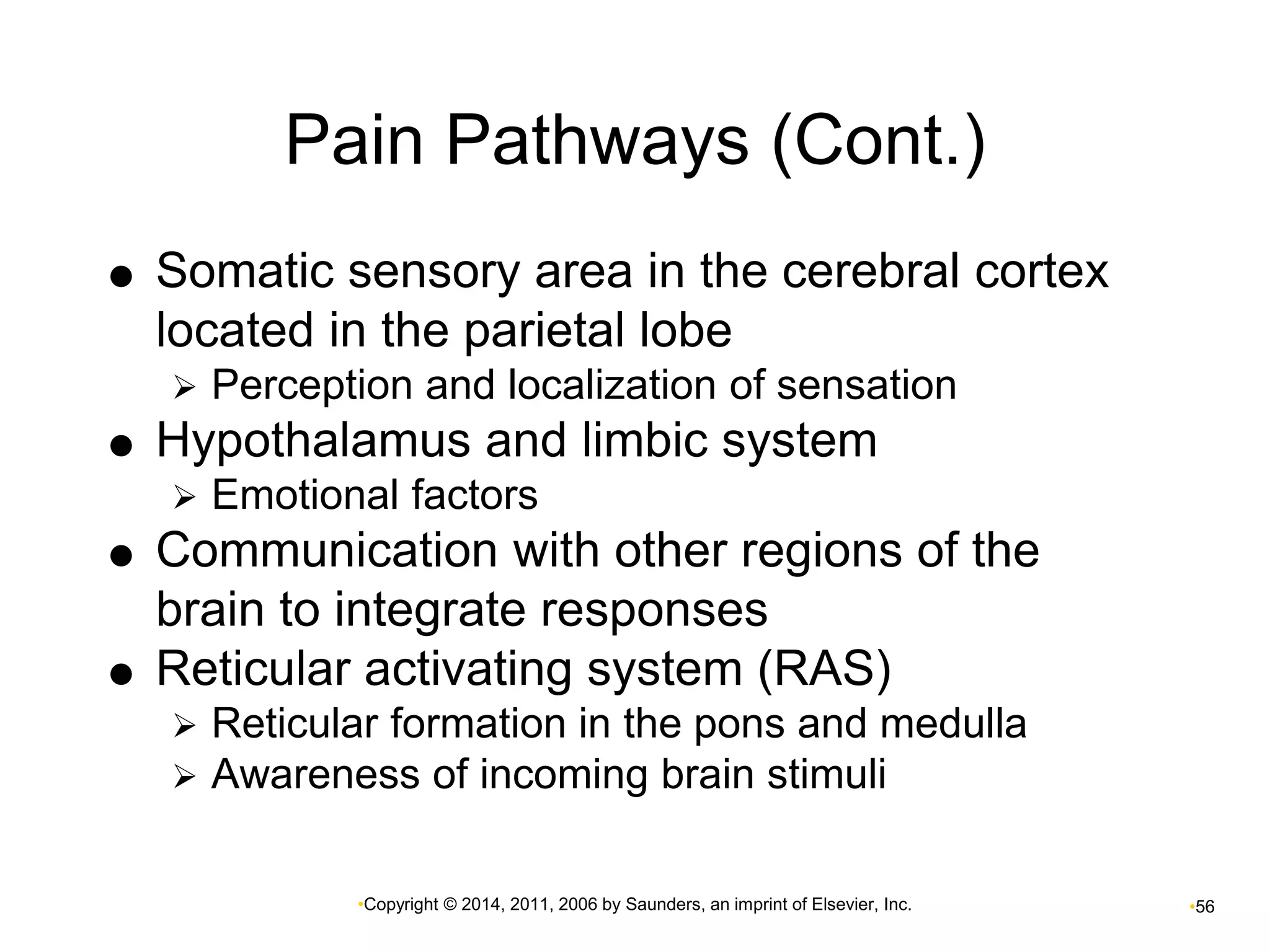 Pain Pathways (Cont.) 
 Somatic sensory area in the cerebral cortex 
located in the parietal lobe 
 Perception and localization of sensation 
 Hypothalamus and limbic system 
 Emotional factors 
 Communication with other regions of the 
brain to integrate responses 
 Reticular activating system (RAS) 
 Reticular formation in the pons and medulla 
 Awareness of incoming brain stimuli 
•Copyright © 2014, 2011, 2006 by Saunders, an imprint of Elsevier, Inc. •56 
 