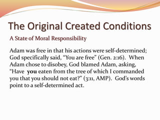 The Original Created Conditions 
A State of Moral Responsibility 
Adam was free in that his actions were self-determined; 
God specifically said, “You are free” (Gen. 2:16). When 
Adam chose to disobey, God blamed Adam, asking, 
“Have you eaten from the tree of which I commanded 
you that you should not eat?” (3:11, AMP). God’s words 
point to a self-determined act. 
 