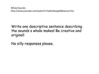 Write one descriptive sentence describing
the sounds s whale makes! Be creative and
original!
No silly responses please.
Whale Sounds:
http://www.youtube.com/watch?v=fytkUHwrgaE&feature=fvsr
 