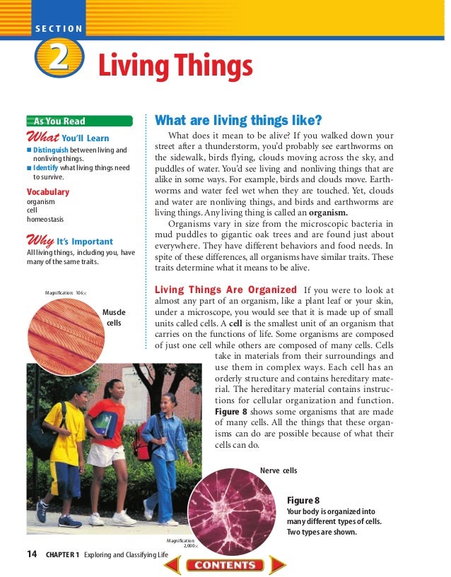 Natural Resources Reading And Worksheet Th Natural Resources Reading And Worksheet Th
