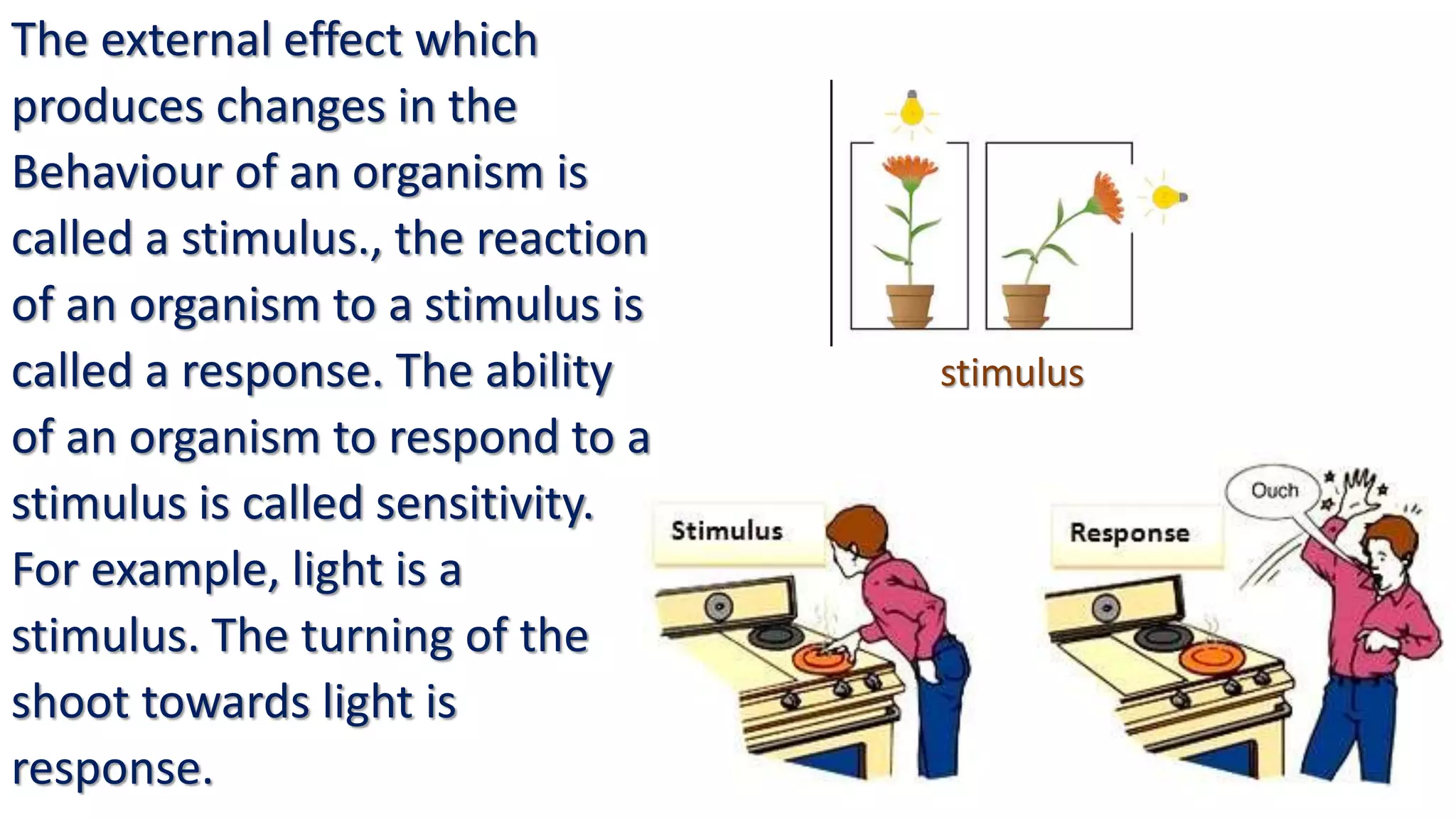 stimulus
The external effect which
produces changes in the
Behaviour of an organism is
called a stimulus., the reaction
of an organism to a stimulus is
called a response. The ability
of an organism to respond to a
stimulus is called sensitivity.
For example, light is a
stimulus. The turning of the
shoot towards light is
response.
 