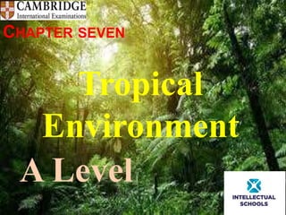 CHAPTER SEVEN
Tropical
Environment
A Level
 