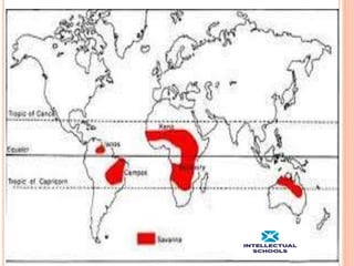 Tropical Climate | PPTX