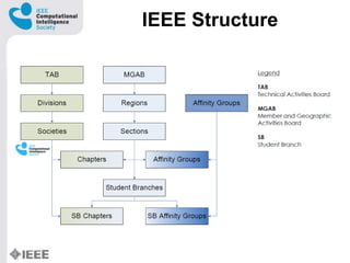 IEEE Structure
 