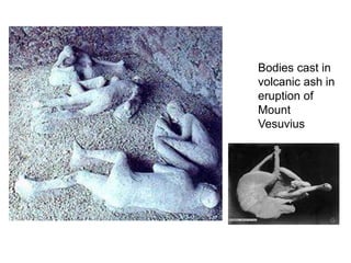 Bodies cast in 
volcanic ash in 
eruption of 
Mount 
Vesuvius 
 
