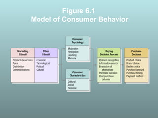 Figure 6.1
Model of Consumer Behavior
 