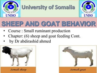 • Course : Small ruminant production
• Chapter: (6) sheep and goat feeding Cont.
• by Dr abdirashid ahmed
 
