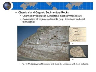 Chemical and Organic Sedimentary Rocks Chemical Precipitation (Limestone most common result) Compaction of organic sediments (e.g., limestone and coal formations) Fig. 13-11. (a) Layers of limestone and shale. (b) Limestone with fossil mollusks. 
