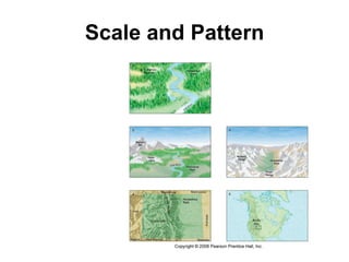 Scale and Pattern 