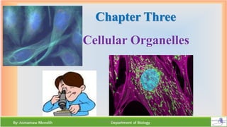 Cellular Organelles
Chapter Three
11/24/2022 By: Asmamaw Menelih 1
 