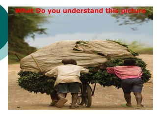 What Do you understand this picture
 