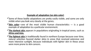 Chapter Three Anthropology (1).pptxgggghhhjjj | PPTX