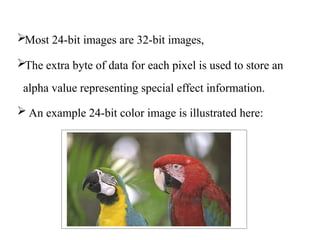 Position Byte Example Pixel Comprehensive Overview of Graphics and Image Data Representation ...