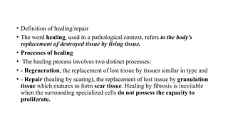 Define Scaring Chapter Three Pathology S7 Healing prt one-1.pptx