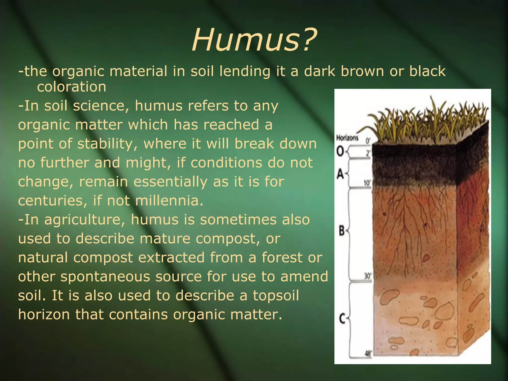 Humus? -the organic material in soil lending it a dark brown or black coloration -In soil science, humus refers to any  organic matter which has reached a  point of stability, where it will break down  no further and might, if conditions do not  change, remain essentially as it is for  centuries, if not millennia. -In agriculture, humus is sometimes also  used to describe mature compost, or  natural compost extracted from a forest or  other spontaneous source for use to amend  soil. It is also used to describe a topsoil  horizon that contains organic matter. 