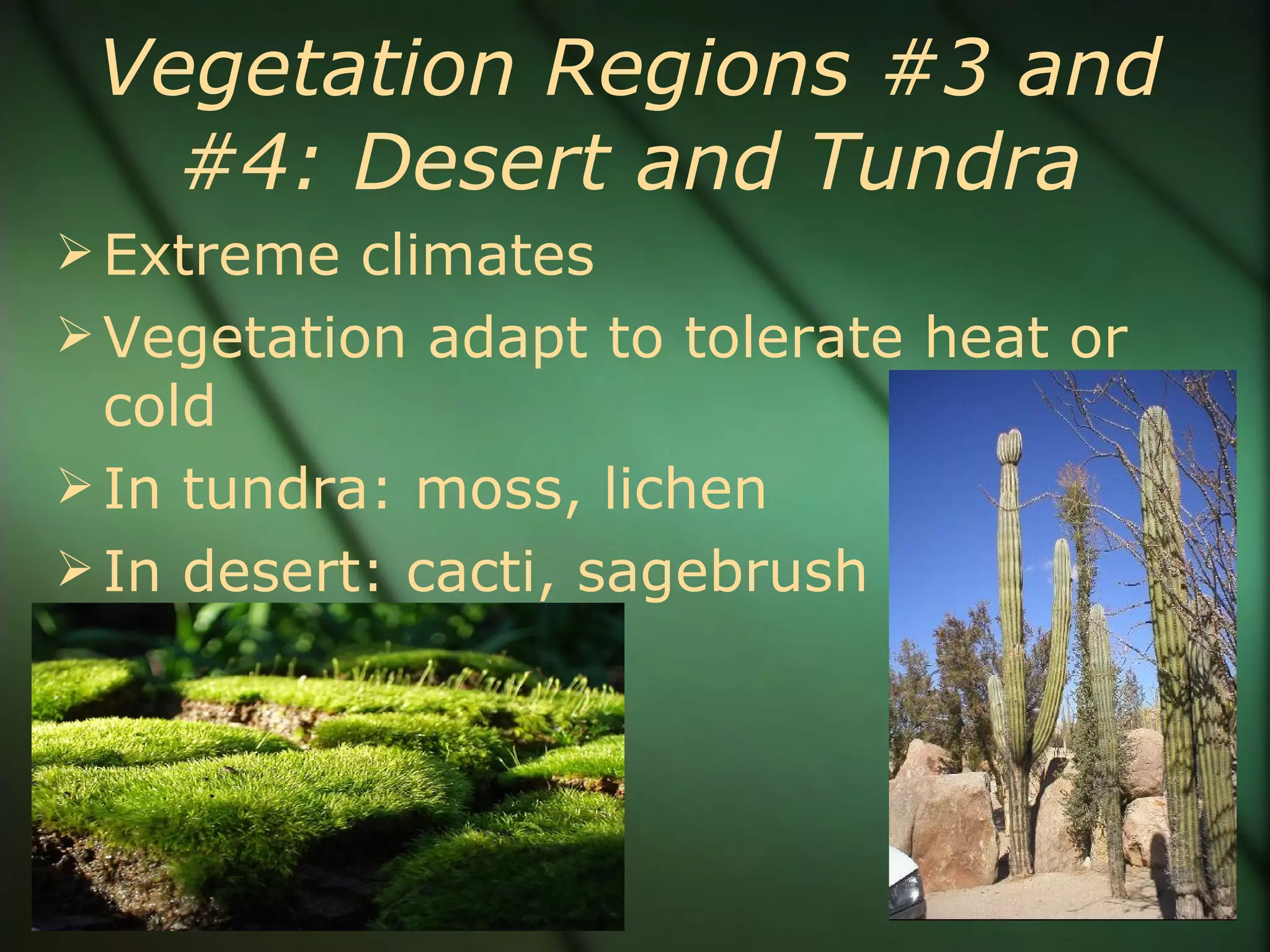 Vegetation Regions #3 and #4: Desert and Tundra Extreme climates Vegetation adapt to tolerate heat or cold In tundra: moss, lichen In desert: cacti, sagebrush 