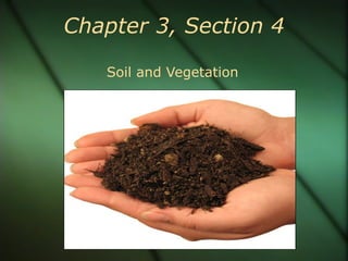 Chapter 3, Section 4 Soil and Vegetation 