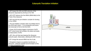 Comprehensive Overview of Molecular Translation Mechanisms and ...