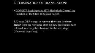 Comprehensive Overview of Molecular Translation Mechanisms and ...