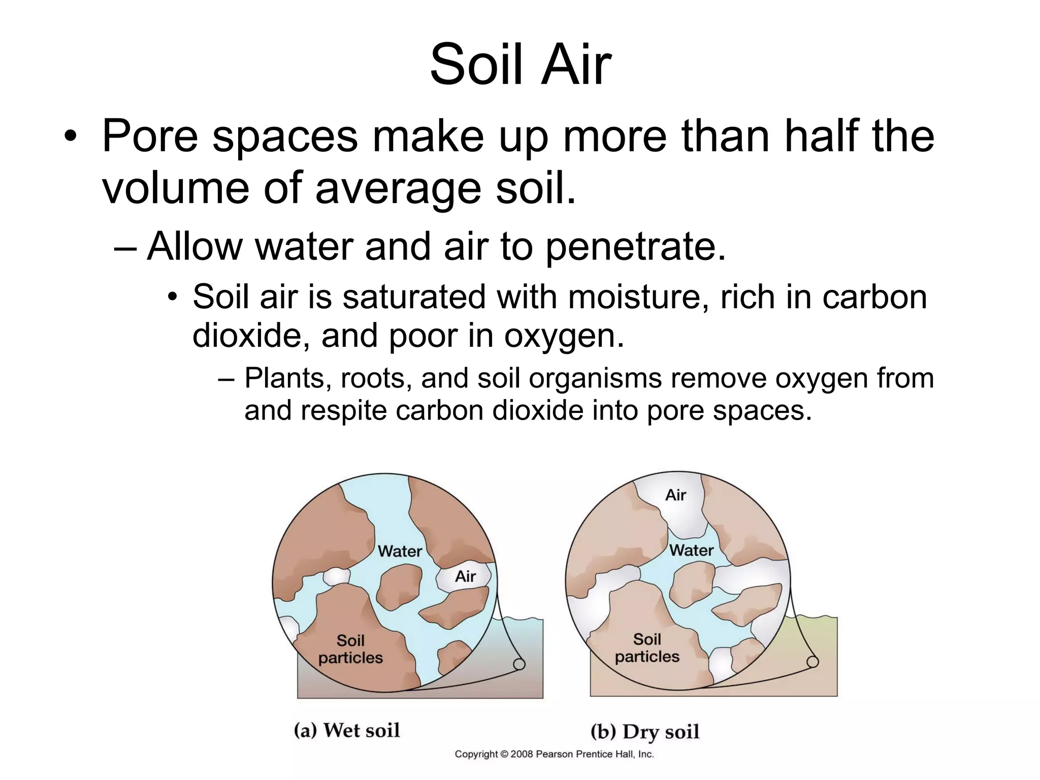 Soil Air Pore spaces make up more than half the volume of average soil. Allow water and air to penetrate. Soil air is saturated with moisture, rich in carbon dioxide, and poor in oxygen.  Plants, roots, and soil organisms remove oxygen from and respite carbon dioxide into pore spaces. 