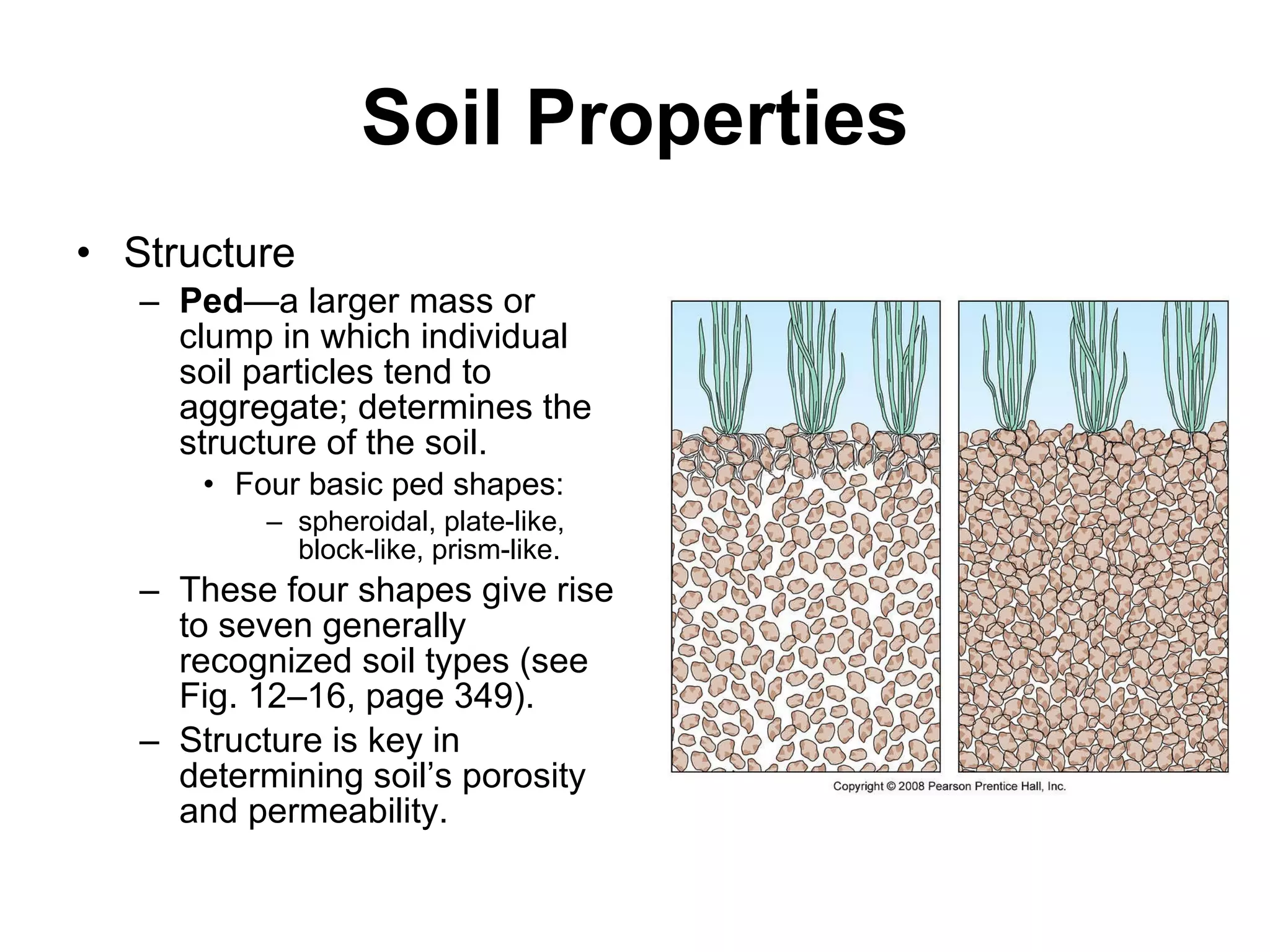 Soil Properties Structure Ped —a larger mass or clump in which individual soil particles tend to aggregate; determines the structure of the soil. Four basic ped shapes: spheroidal, plate-like, block-like, prism-like. These four shapes give rise to seven generally recognized soil types (see Fig. 12–16, page 349). Structure is key in determining soil’s porosity and permeability. 