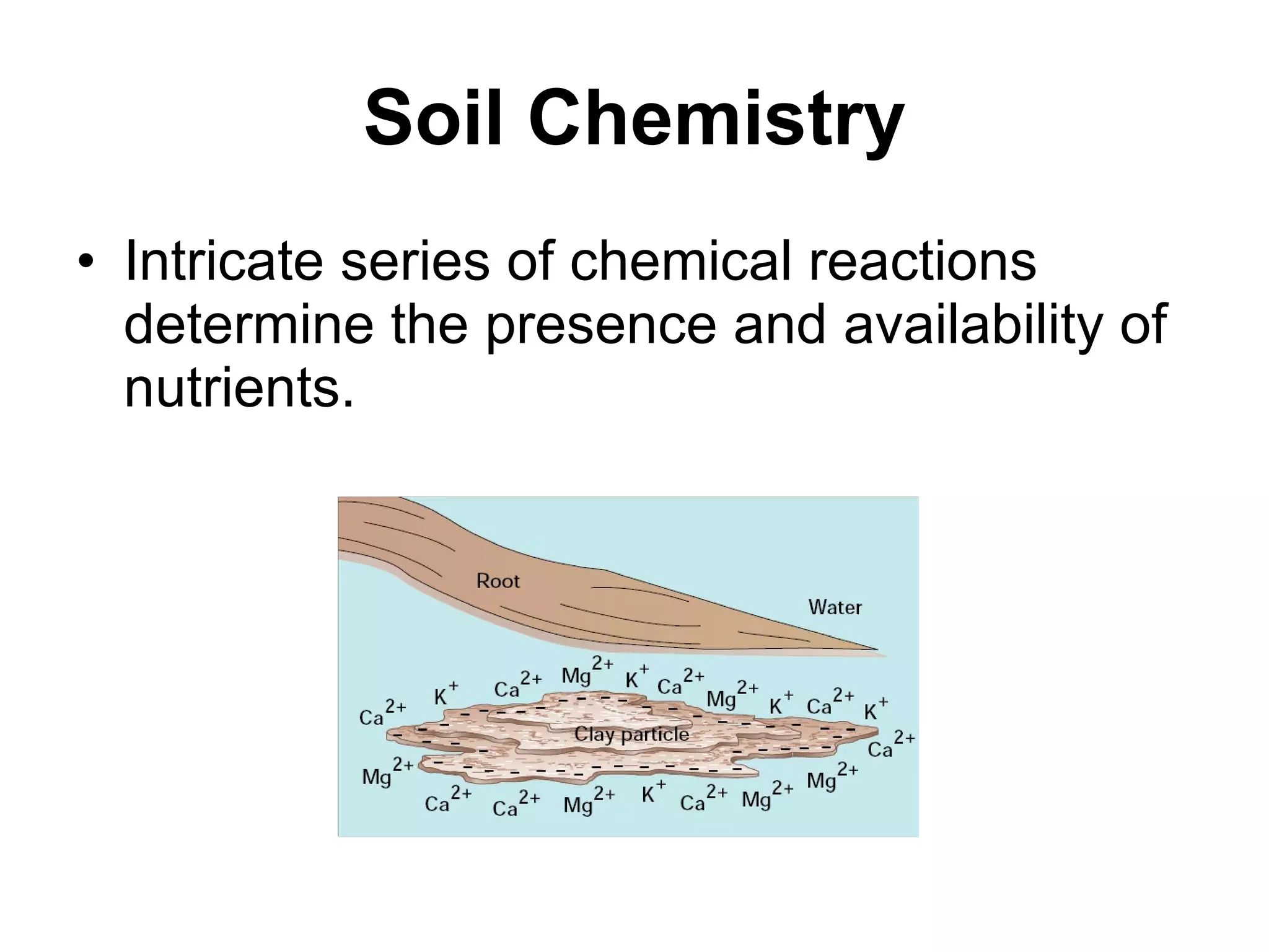 Soil Chemistry Intricate series of chemical reactions determine the presence and availability of nutrients. 
