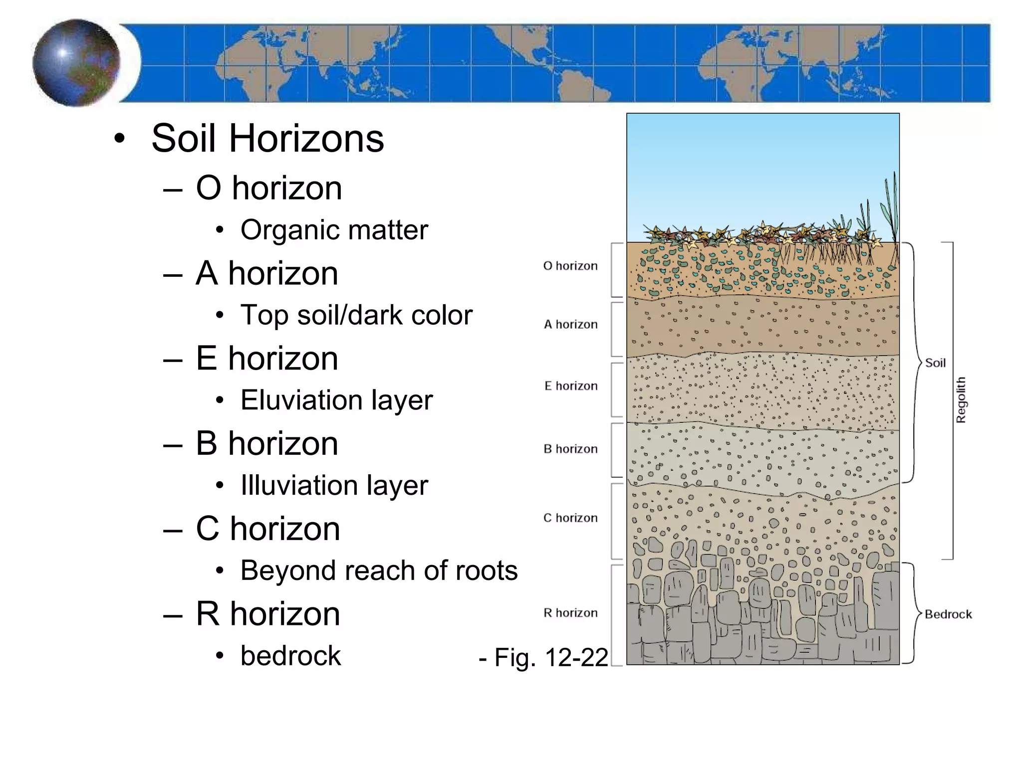 Soil Horizons O horizon Organic matter A horizon Top soil/dark color E horizon Eluviation layer B horizon Illuviation layer C horizon Beyond reach of roots R horizon bedrock - Fig. 12-22 