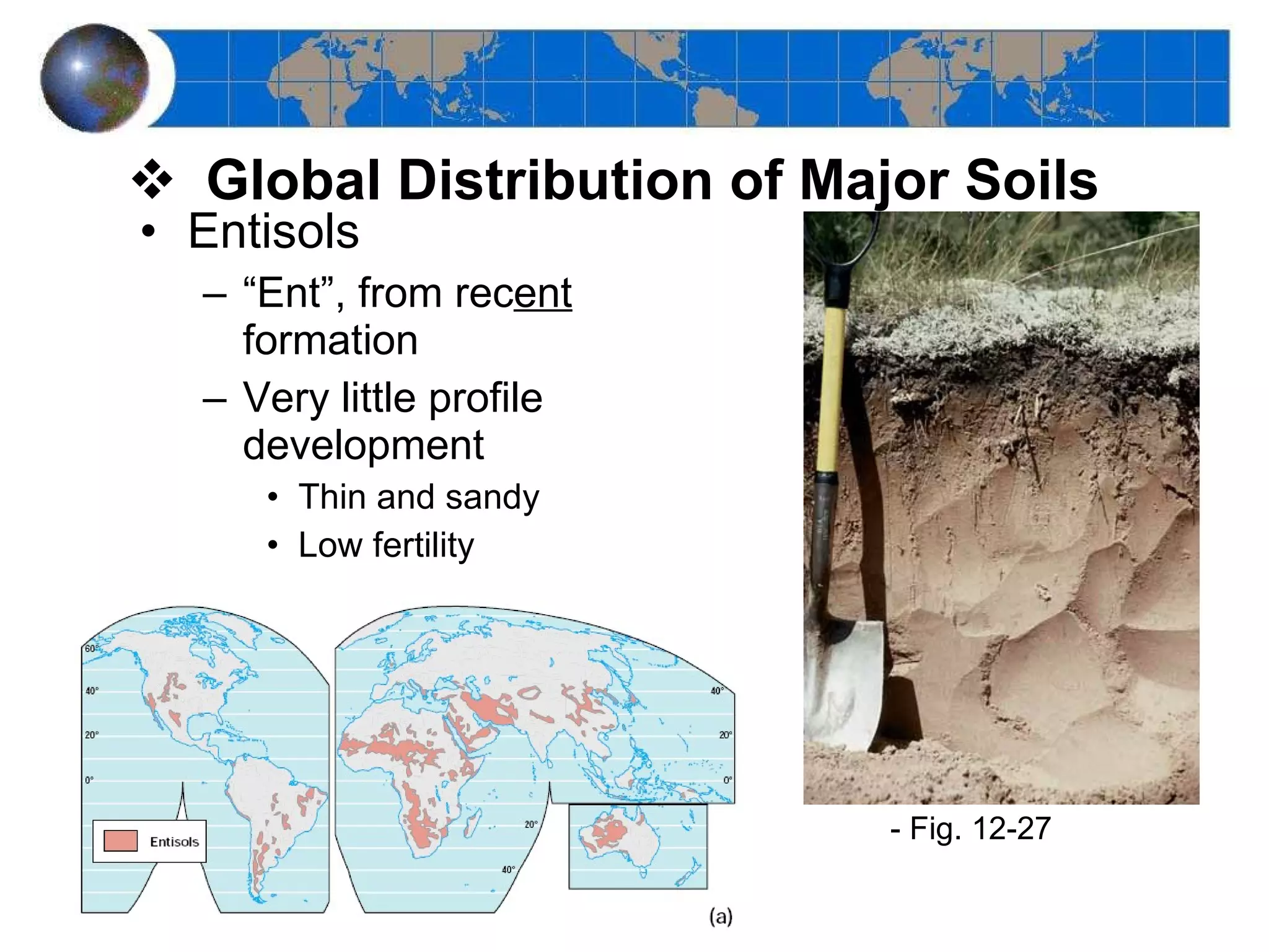 Entisols “ Ent”, from rec ent  formation Very little profile development Thin and sandy Low fertility Global Distribution of Major Soils - Fig. 12-27  