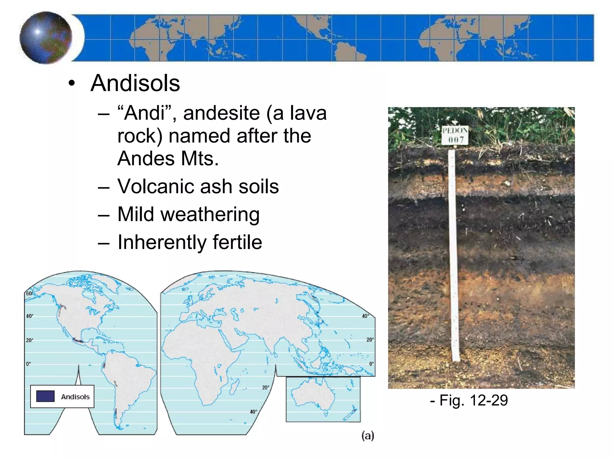 Andisols “ Andi”, andesite (a lava rock) named after the Andes Mts. Volcanic ash soils Mild weathering Inherently fertile - Fig. 12-29 
